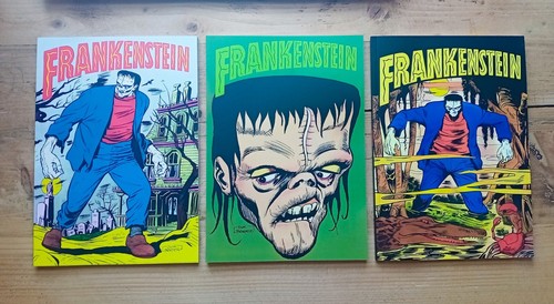 Frankenstein graphic novels - frankenstein,