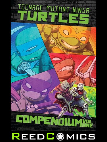 Teenage mutant ninja turtles - teenage,